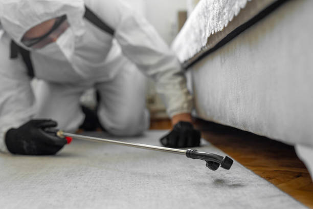 Professional Cockroach Control technician working in Louise, TX