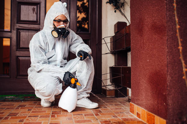 Reliable Cockroach Control contractor in Louise, TX by Nex Pest Control